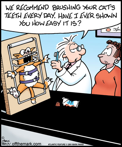 Dental Cartoon